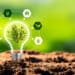 sustainability lightbulb with ESG tree inside