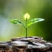 sustainability plant and investing