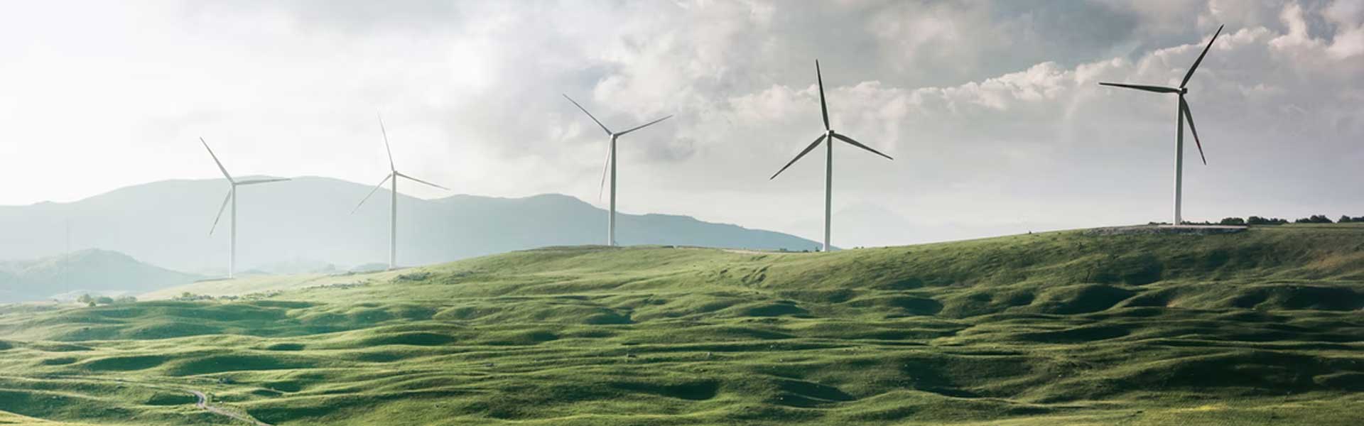 Windmill Farm for Sustainability Reporting Banner