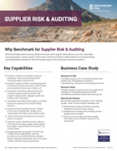 Supplier Risk & Auditing